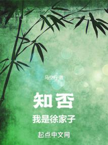 知否：我是徐